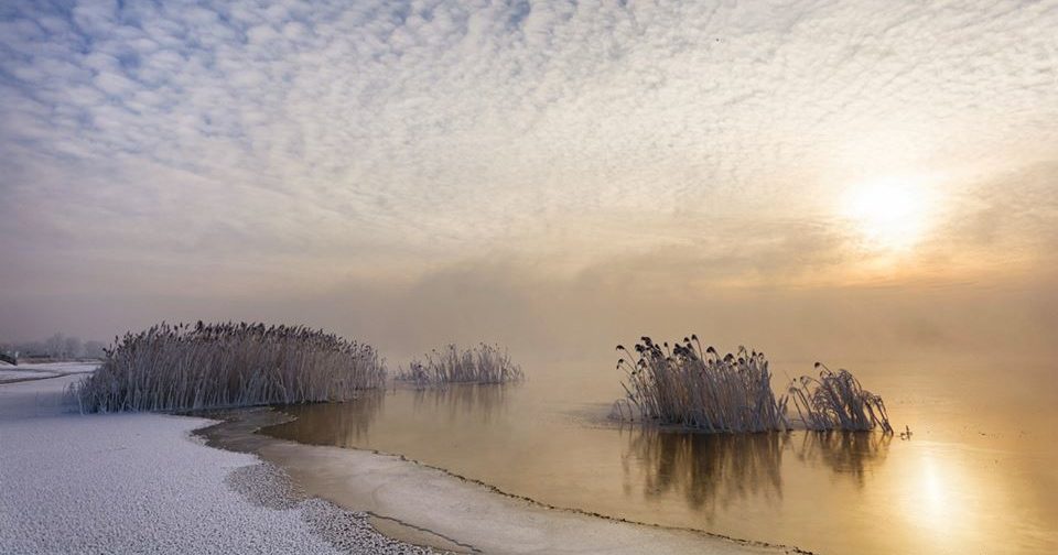 zdjęcie jeziora tarnobrzeskiego nikoniarze